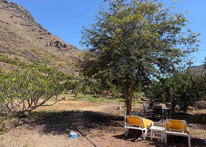 Finca Nim 2